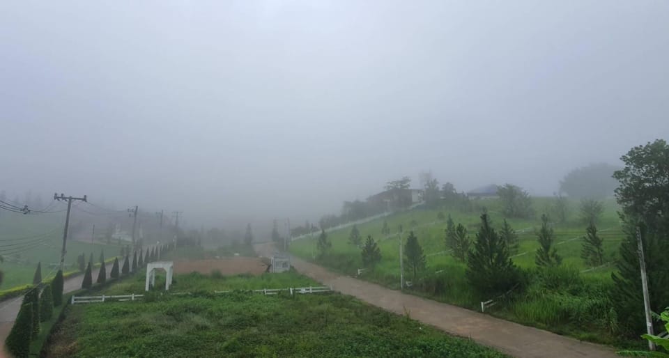 Natural landscape