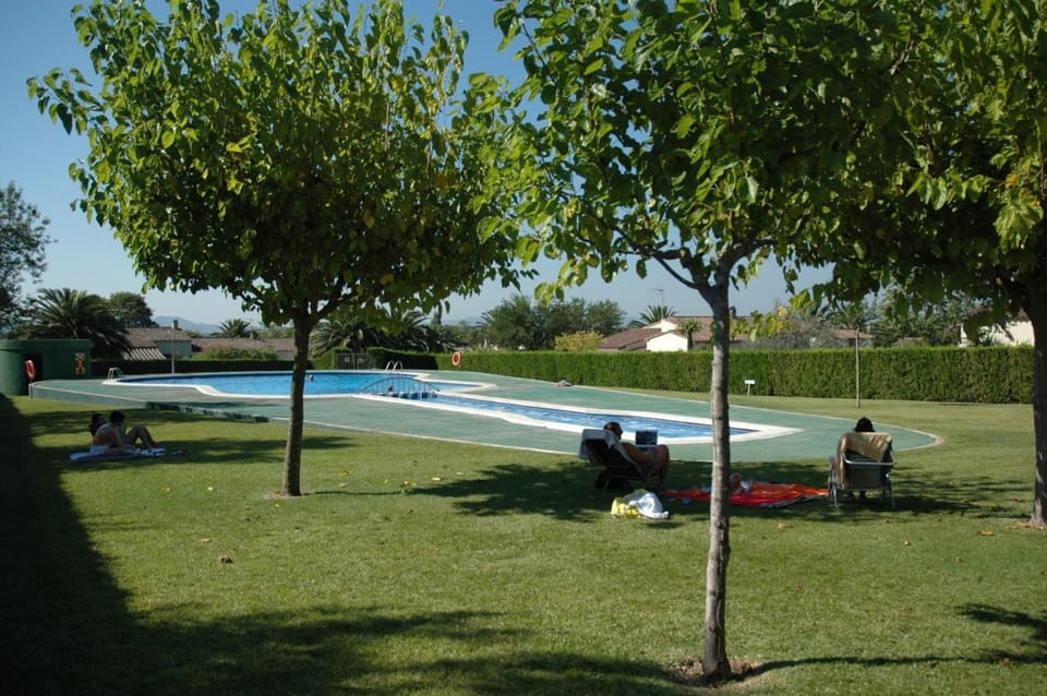 Patio, Garden, Garden view