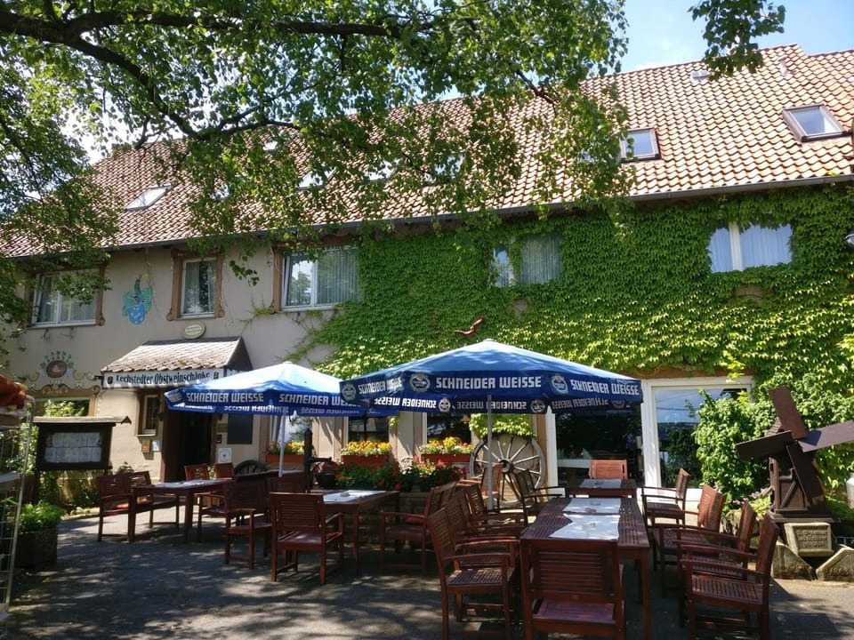 Patio, Restaurant/places to eat
