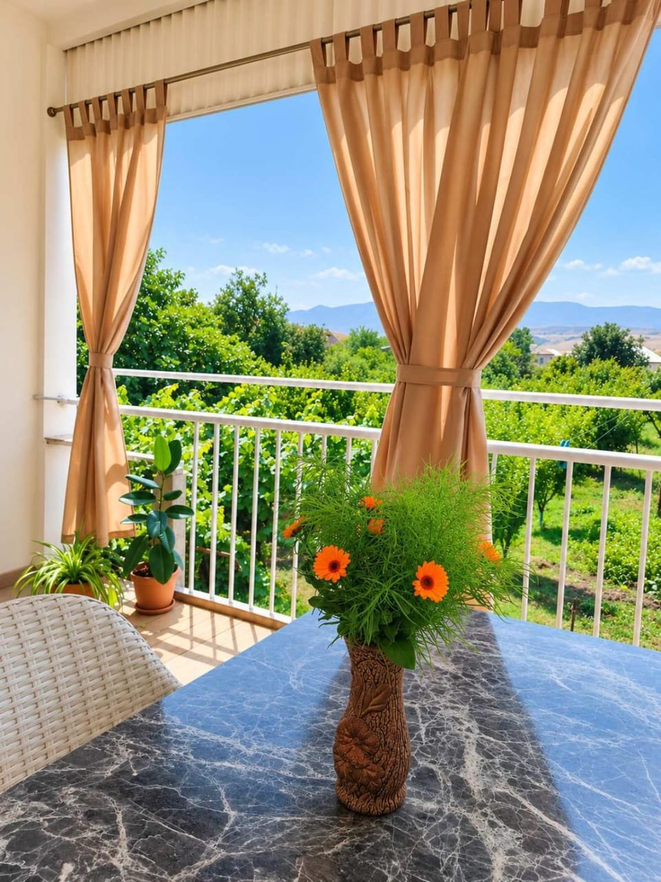 Balcony/Terrace