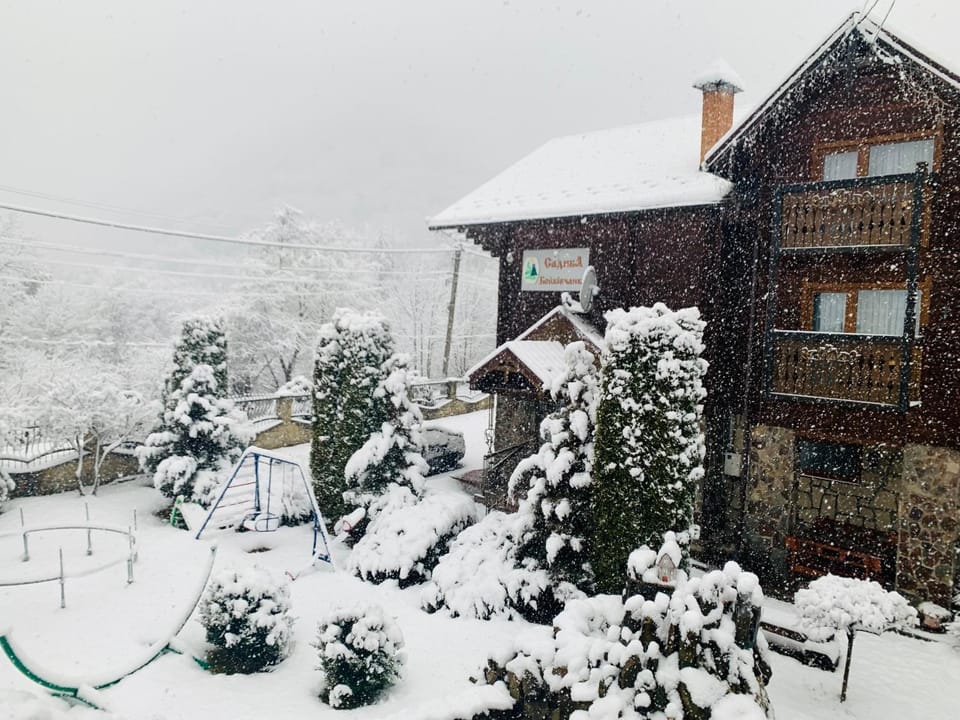 Winter