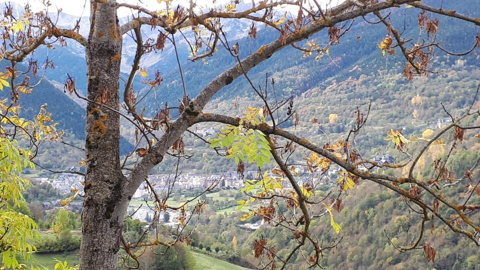 Natural landscape