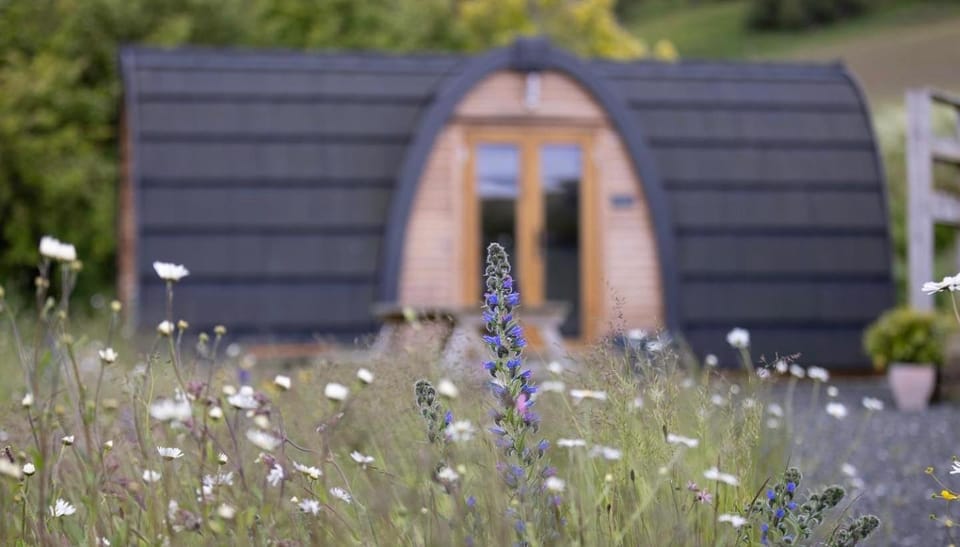 Clova pod, Kilry eco pods Campground/ 
RV Resort in Scotland
