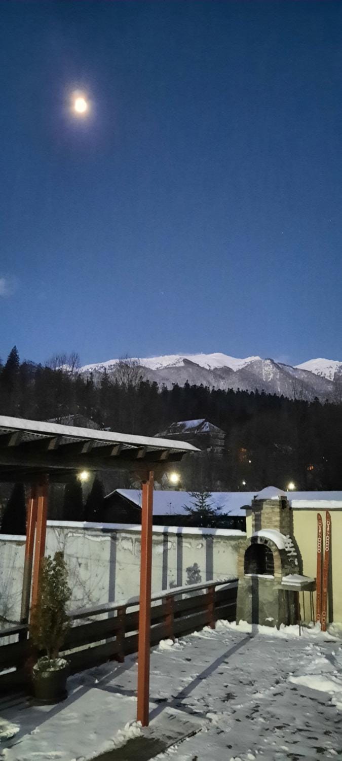 Casa Teodora House in Sinaia
