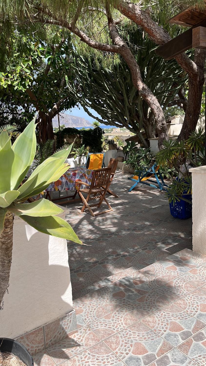 Garden view