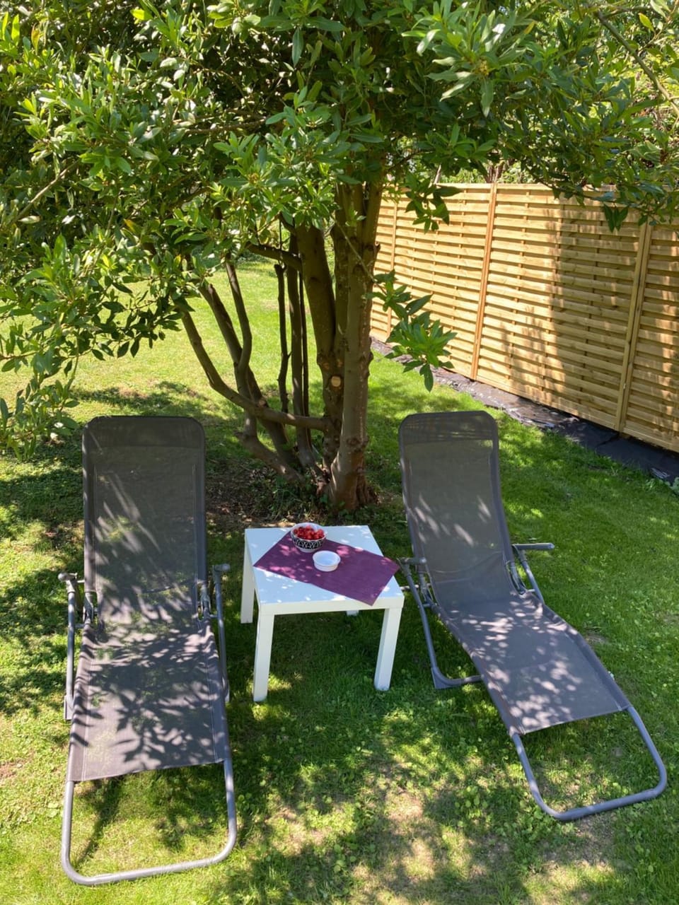 Le petit nid de chessy Apartment in Chessy