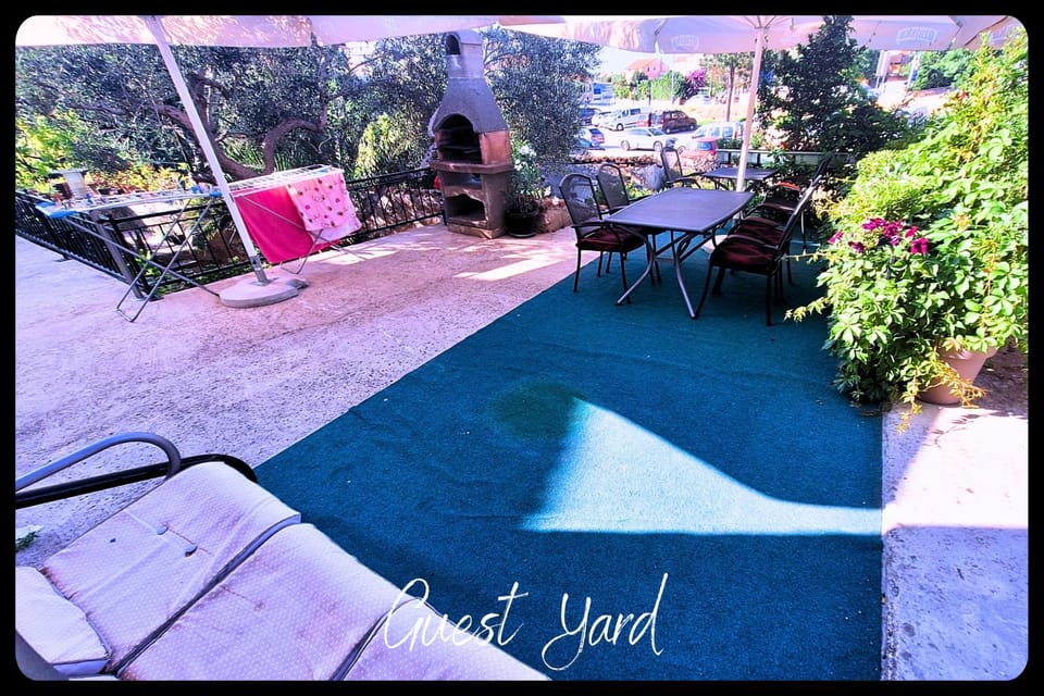 Patio, Day, Garden, Garden view, sunbed