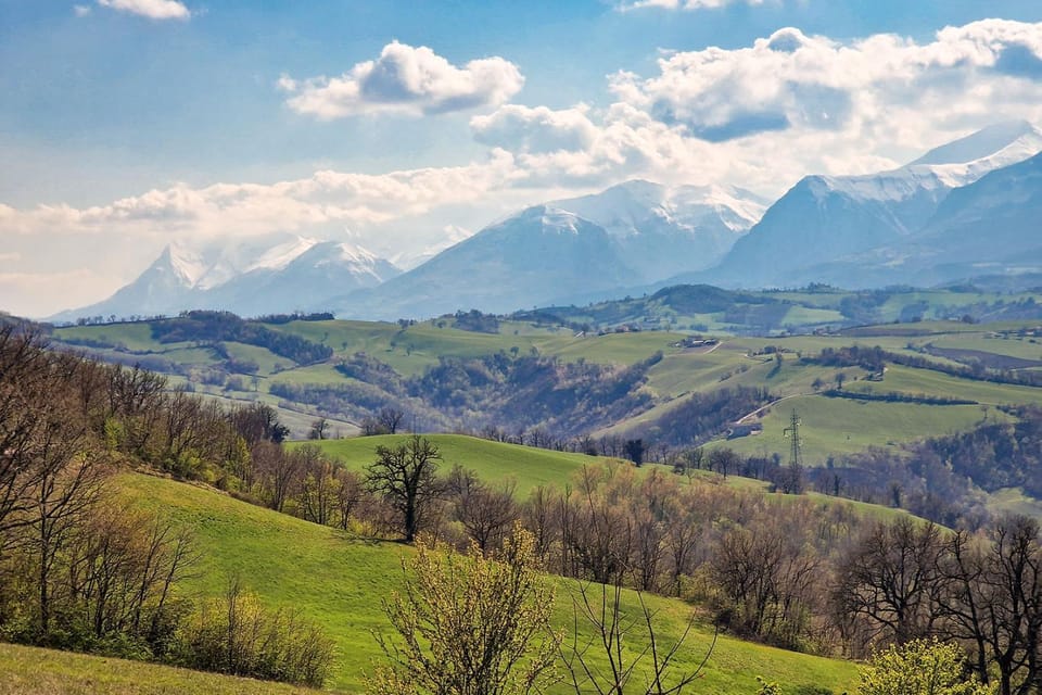 Garden, Mountain view