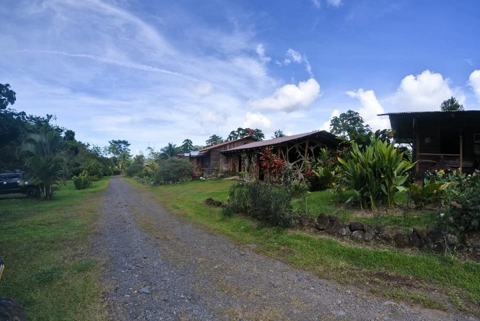 Property building, Spring, Horse-riding, View (from property/room), Garden view