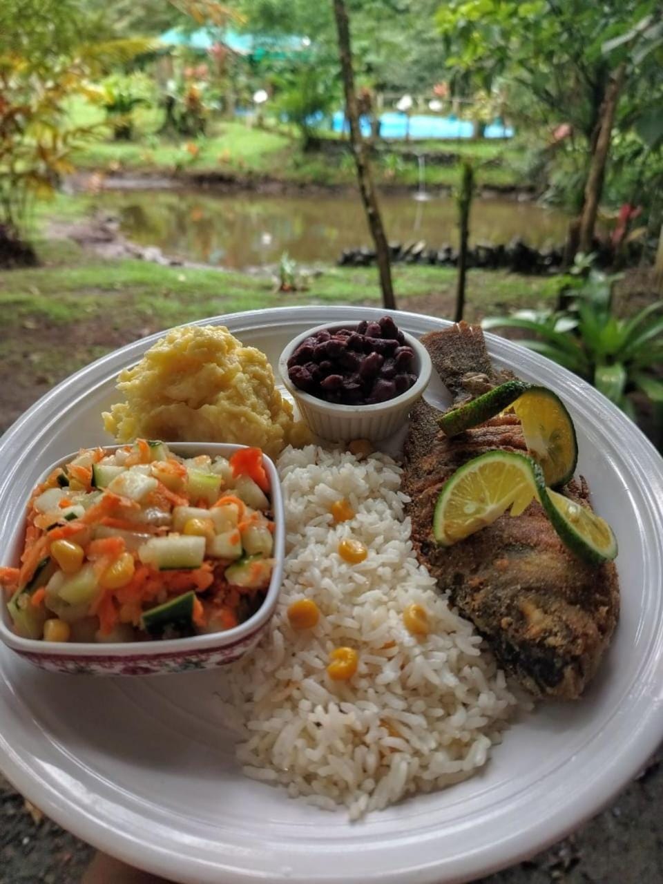 Lunch, Dinner