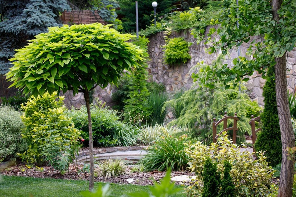 Garden, Garden view