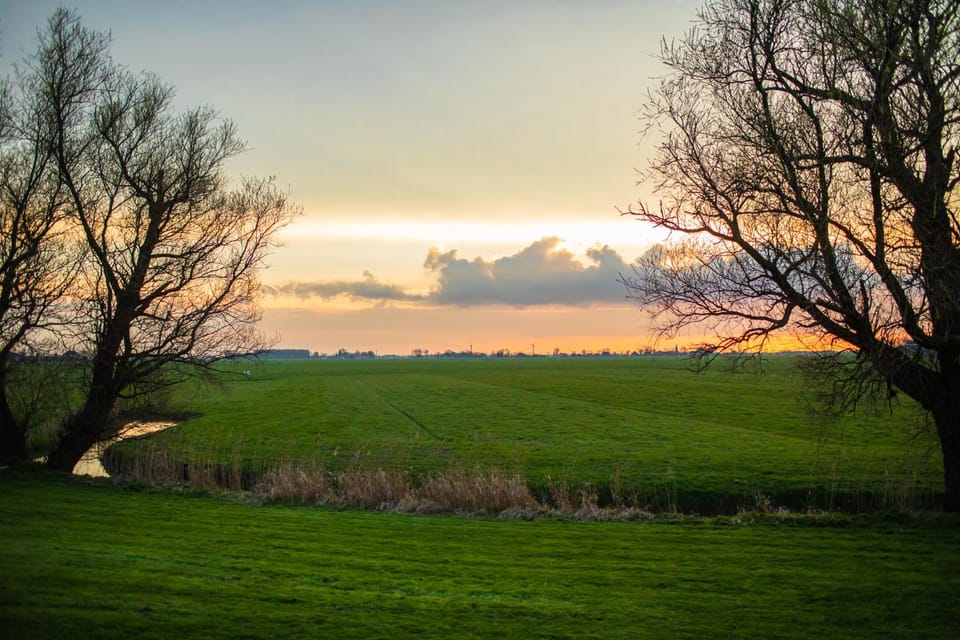 Spring, Natural landscape, Garden, On site, Sunset