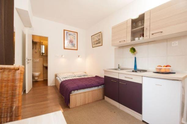 Centar 2 Private Room with Ensuite and Kitchenette Apartment in Split