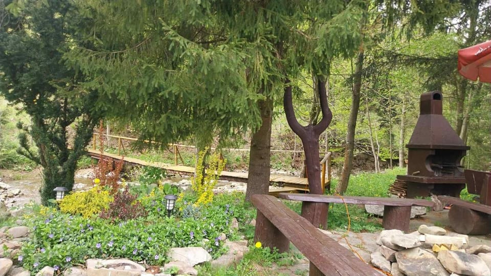 Natural landscape, Garden view