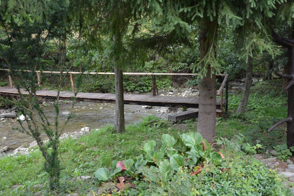 Natural landscape, River view