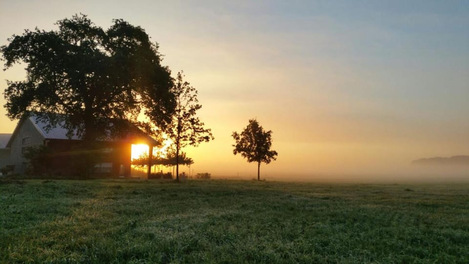 View (from property/room), Sunrise