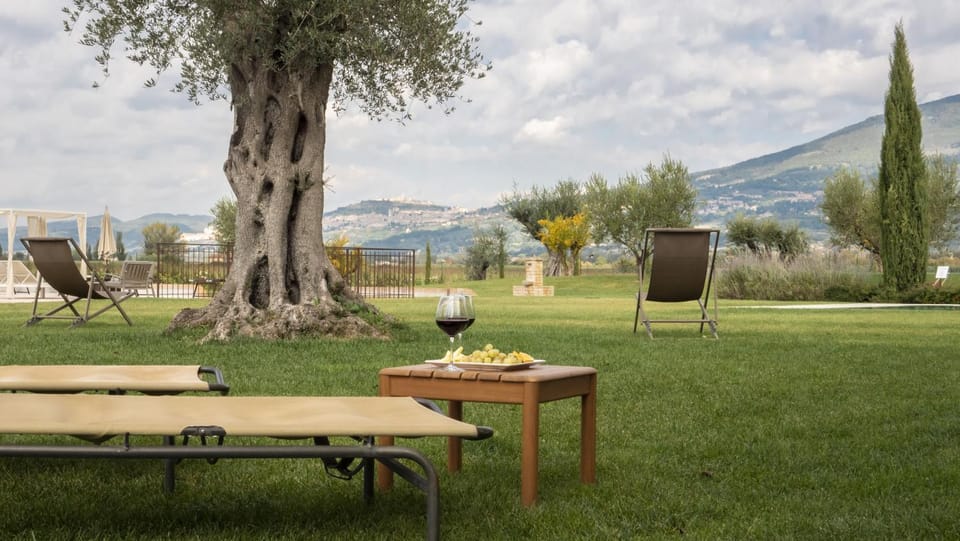 Spring, Day, Natural landscape, Garden, Garden view, Mountain view, sunbed