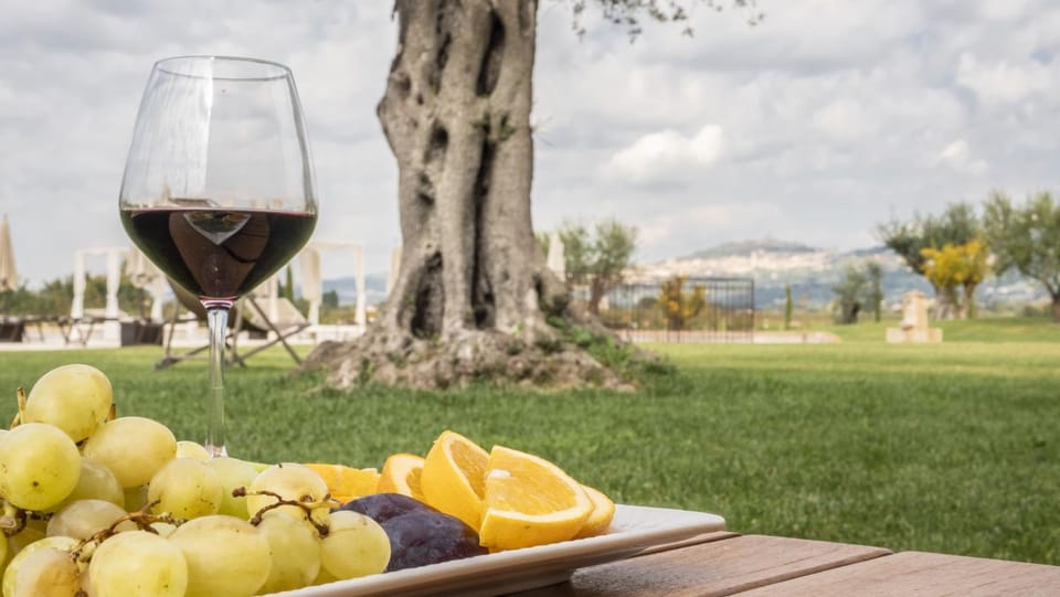 Day, Natural landscape, Garden, Food and drinks, Food, Garden view, Drinks, Alcoholic drinks