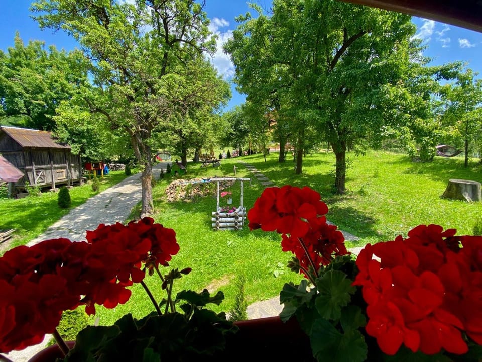 Casa Leca Bed and Breakfast in Romania
