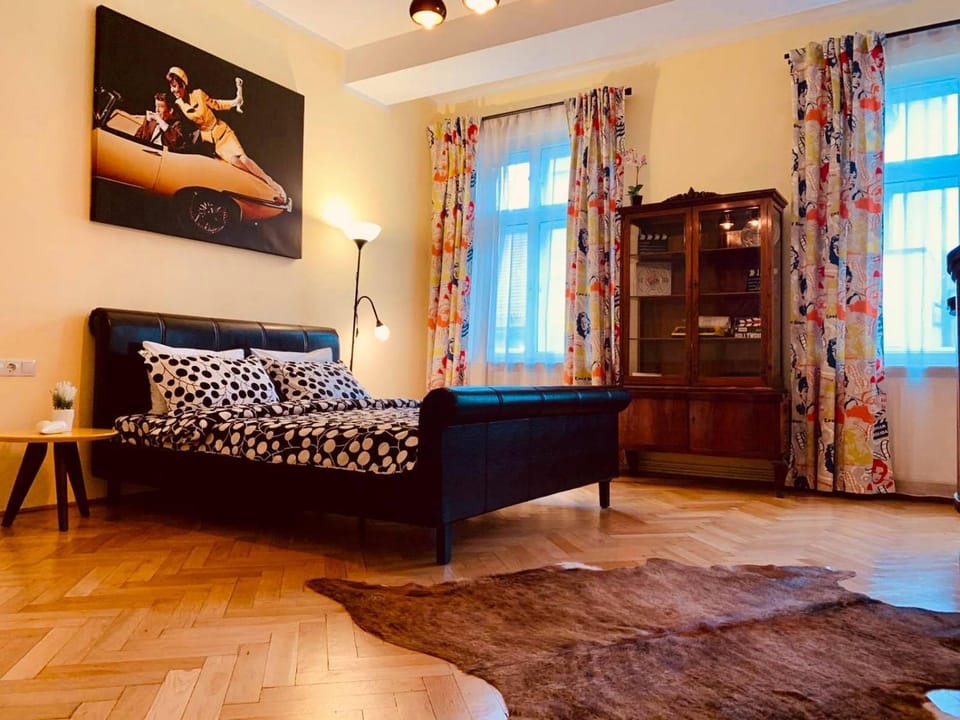 Cinematheque Ultracentral Apartment Apartment in Sibiu