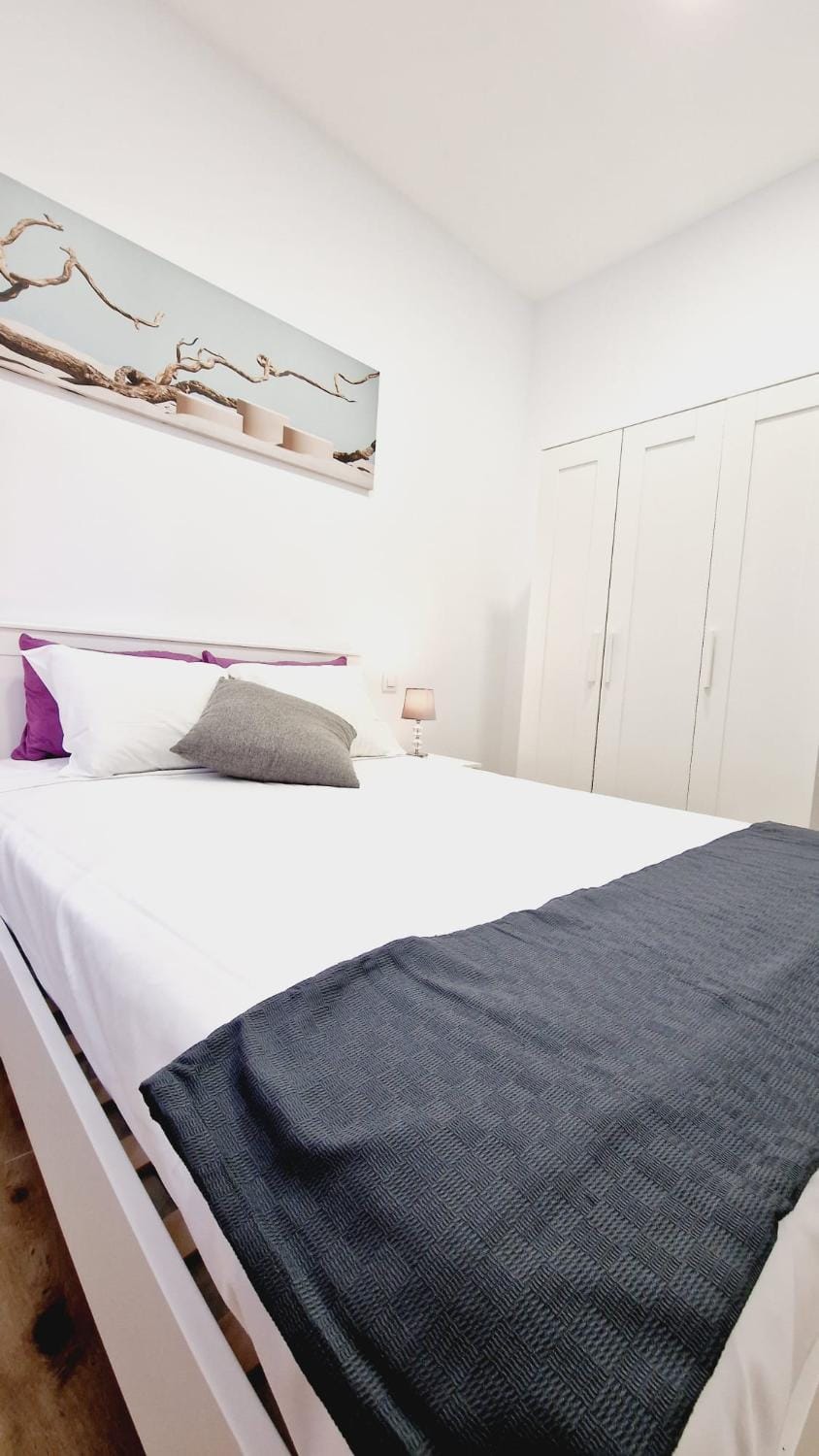 OTEIZA Apartment in Madrid