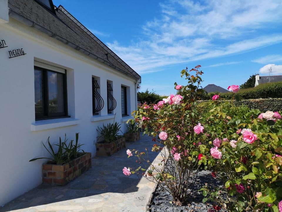 Facade/entrance, Garden