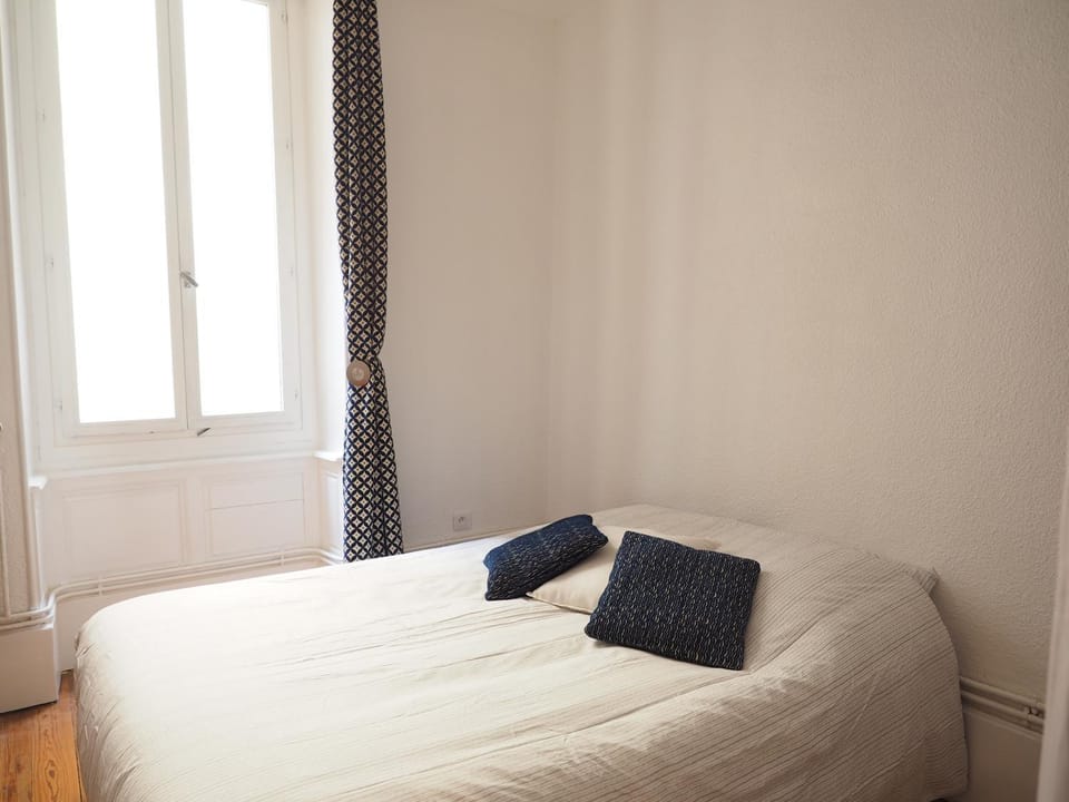 Appartement le st jean - centre historique Vacation rental in Valence