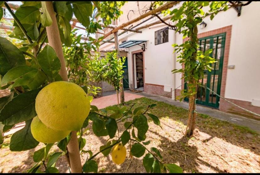 Facade/entrance, Garden