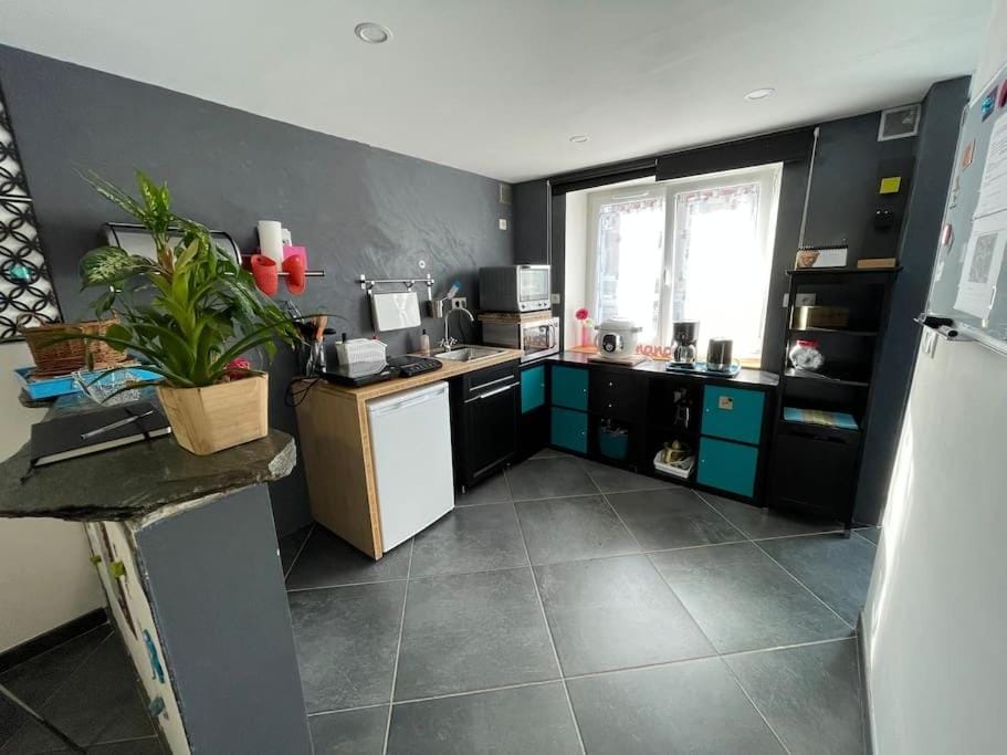 Kitchen or kitchenette, minibar, pet friendly, stove, toaster, kitchen