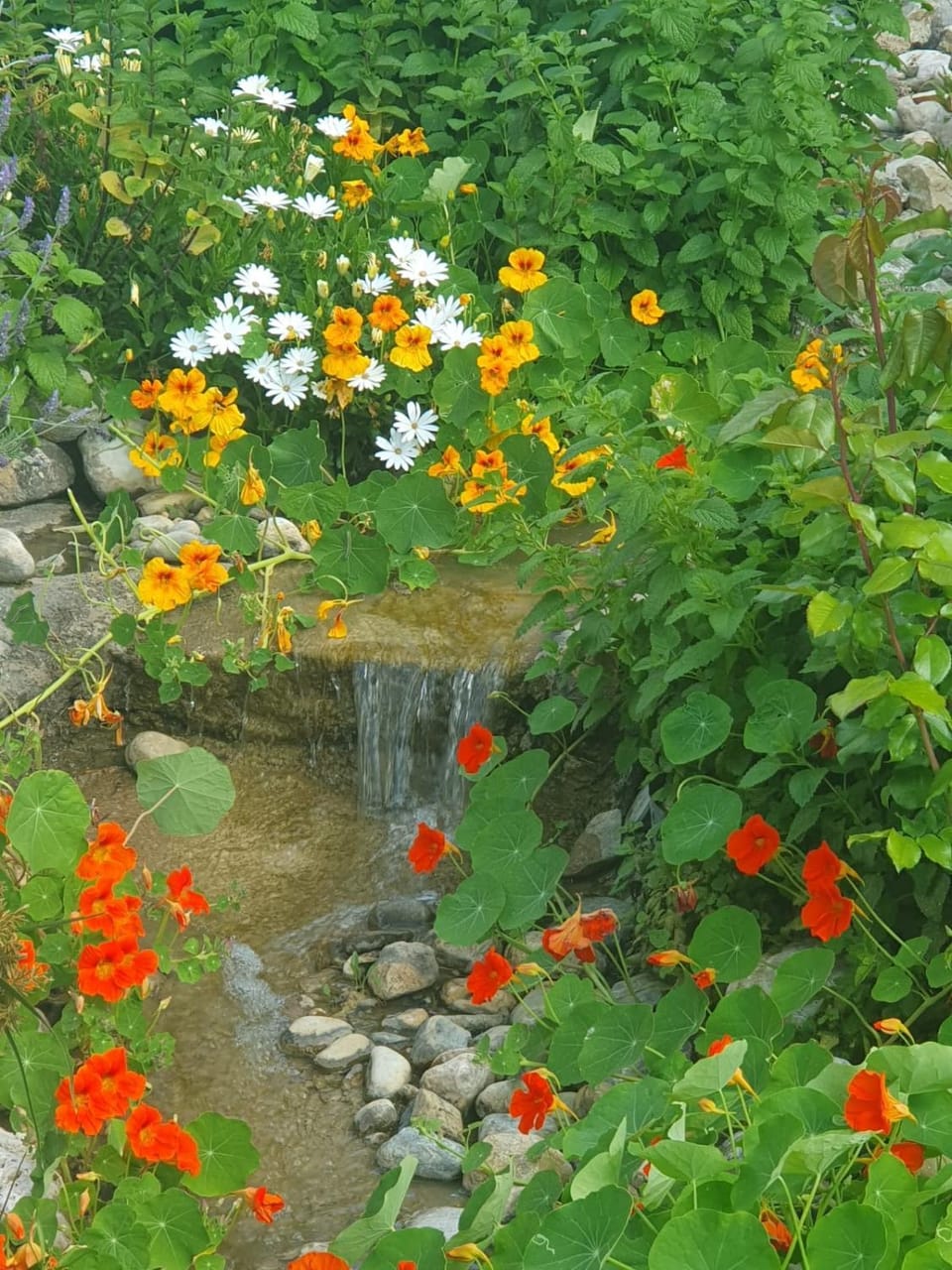Cortijo el Puente Country House in Axarquía