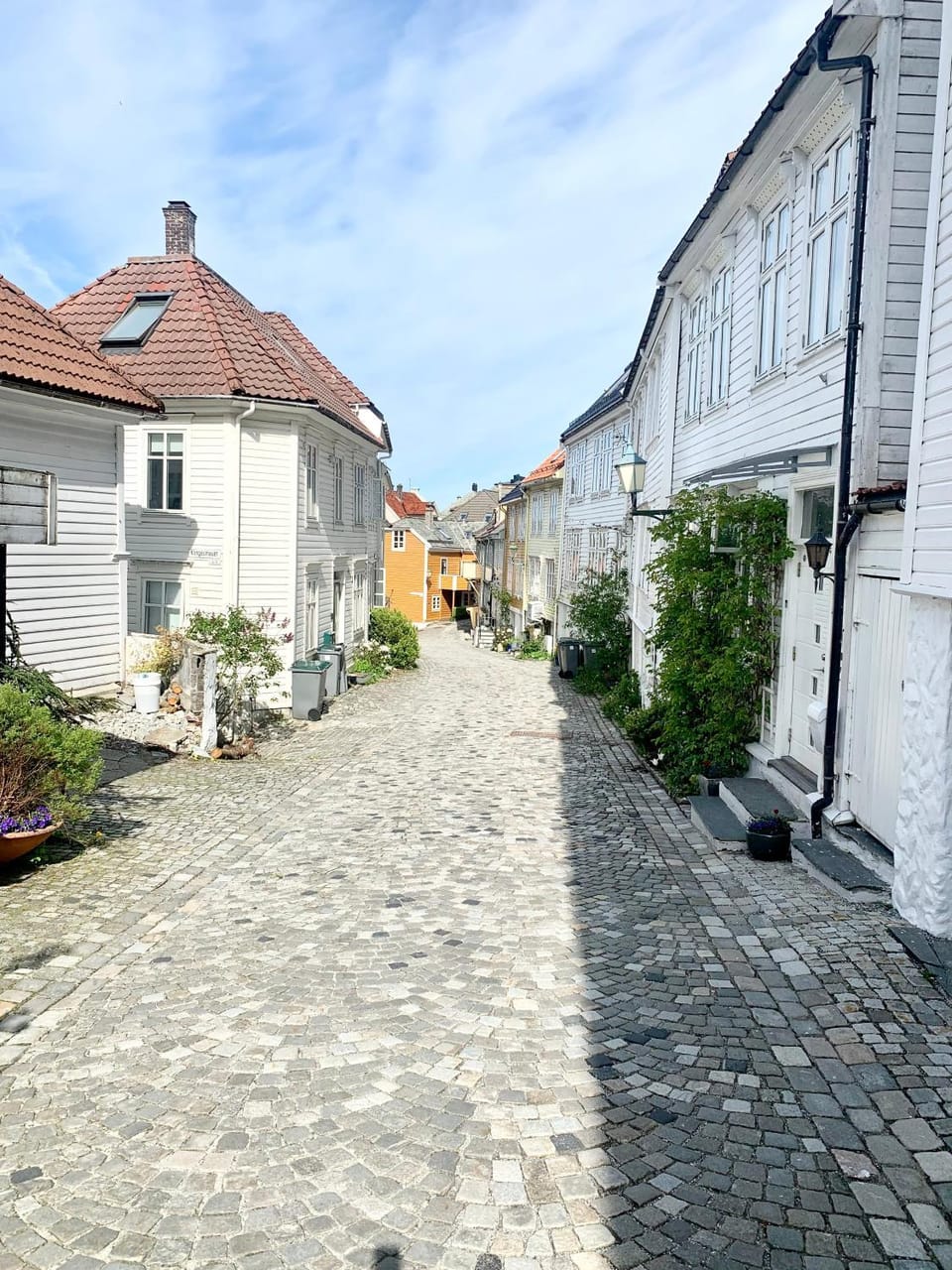 Neighbourhood, Street view