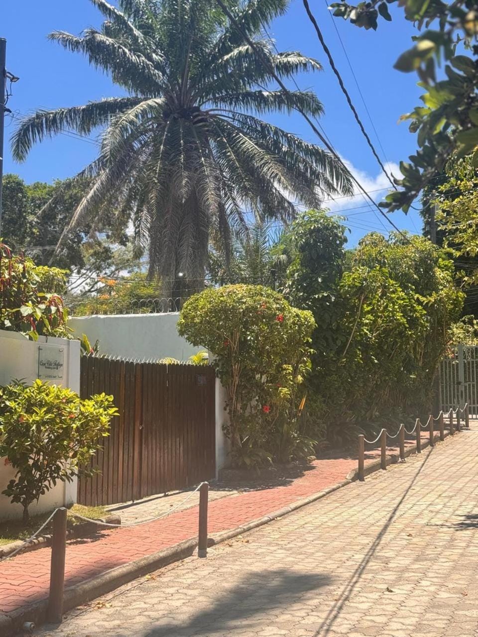 Garden view