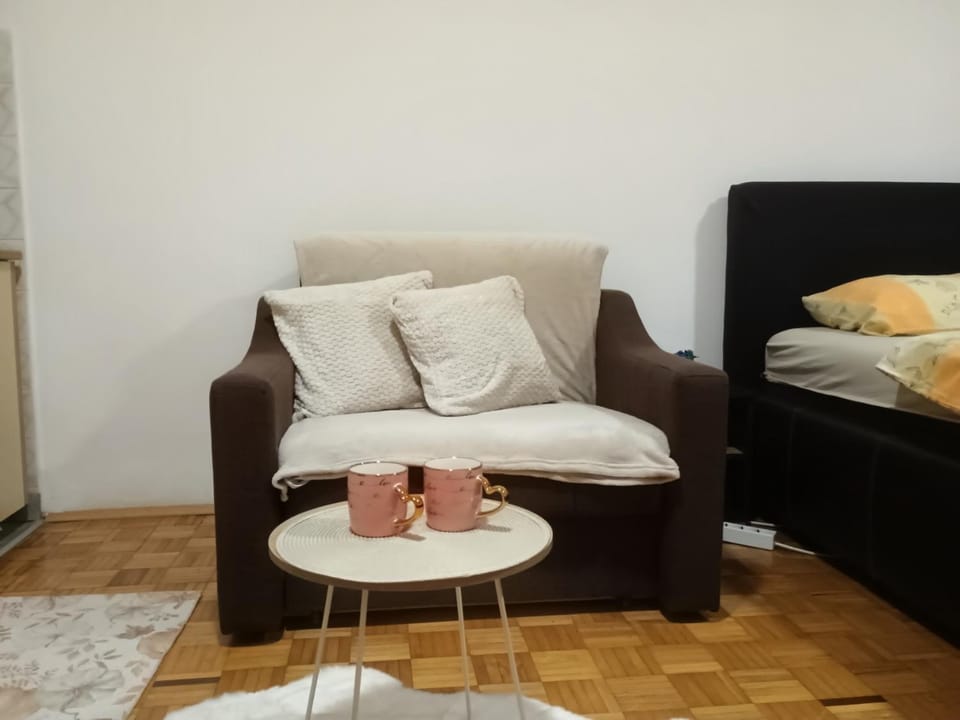 Apartman Vesna Apartment in Serbia
