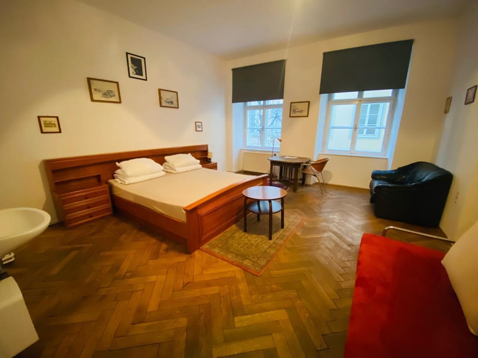 Wohnung im Zentrum Apartment in Graz