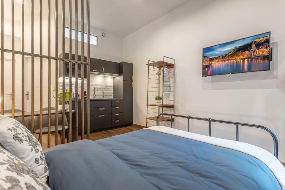 Le Cocon Lita-Palace Apartment in Lyon