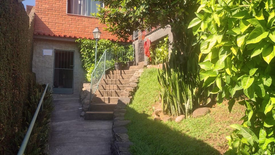 Day, Garden, Garden view