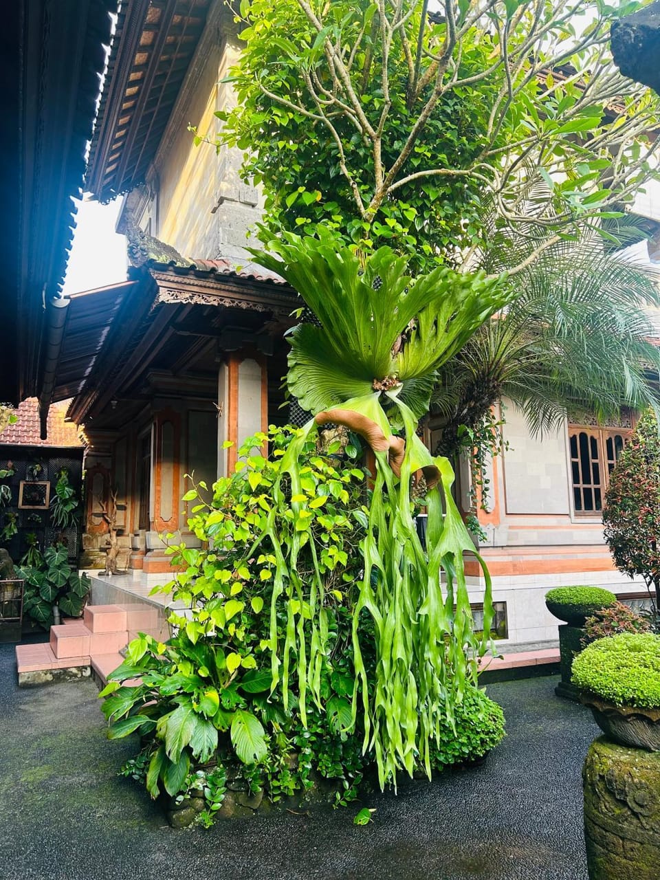 Pangkung House Vacation rental in Ubud