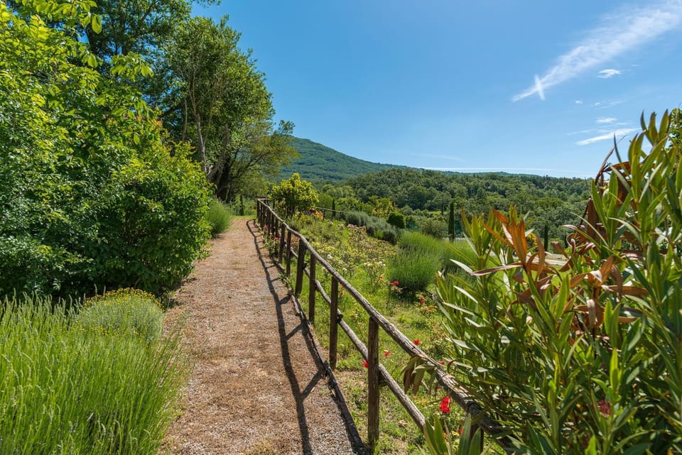 Natural landscape