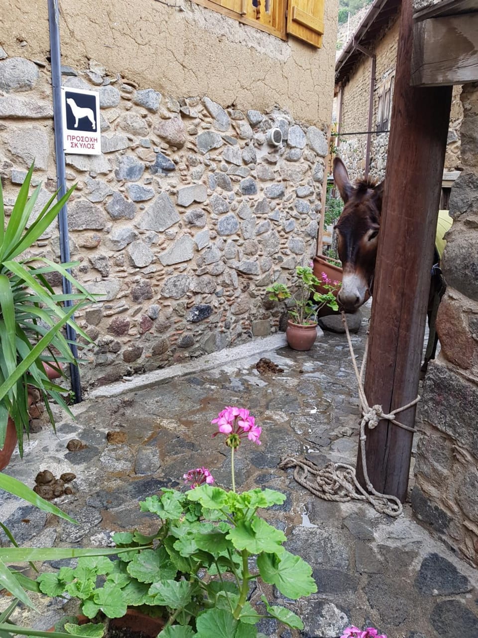 Irene's House House in Nicosia District