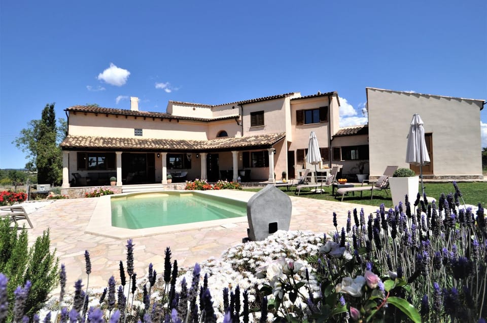 Property building, Off site, Swimming pool, Swimming pool