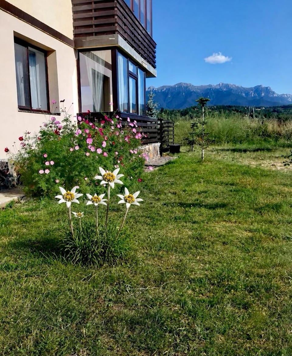 Green village Bran Apartment in Brașov County