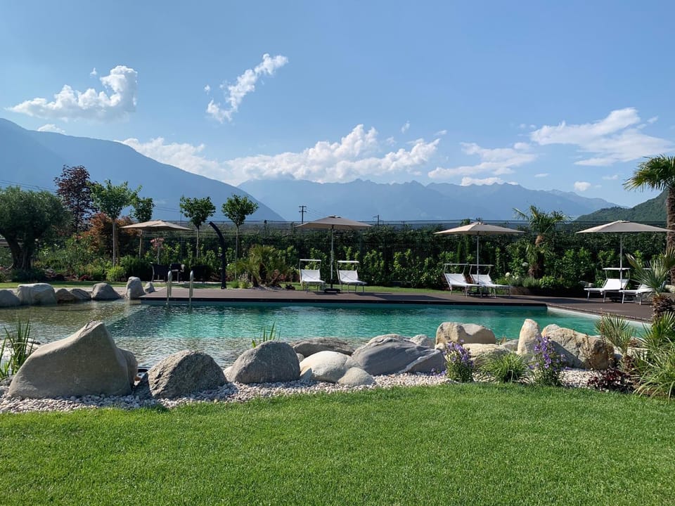 Garden, Swimming pool