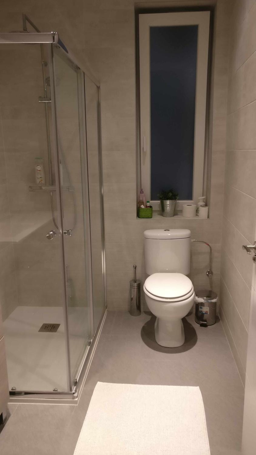 Shower, Toilet, Bathroom, bidet