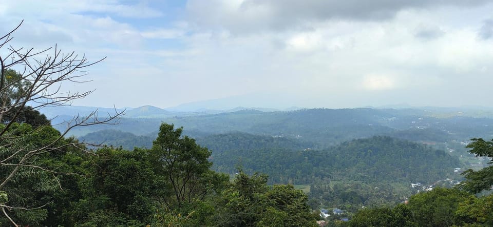 Mountain view
