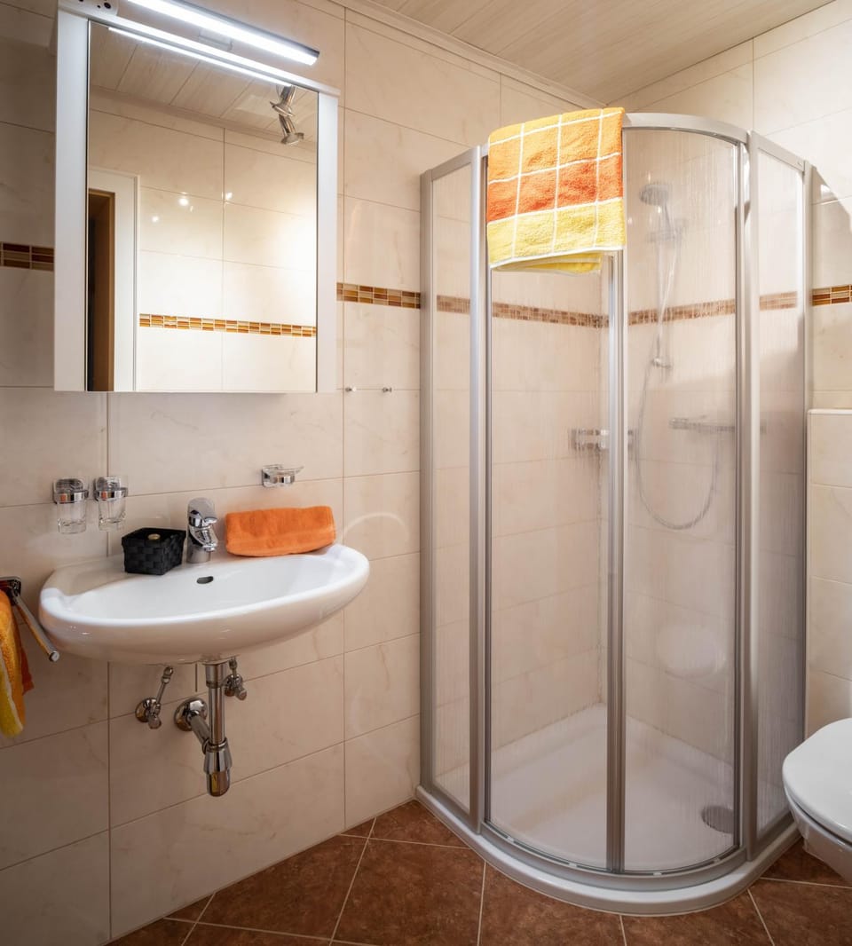 Shower, Toilet, Bathroom, towels
