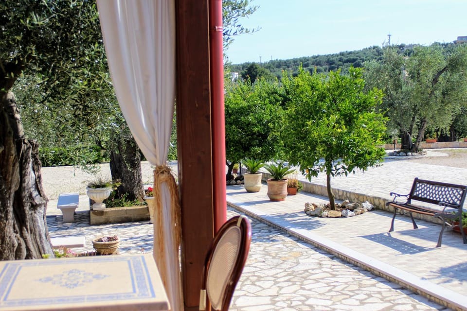 Natural landscape, Garden, View (from property/room), Garden view, Internal: Not applicable to any particular room