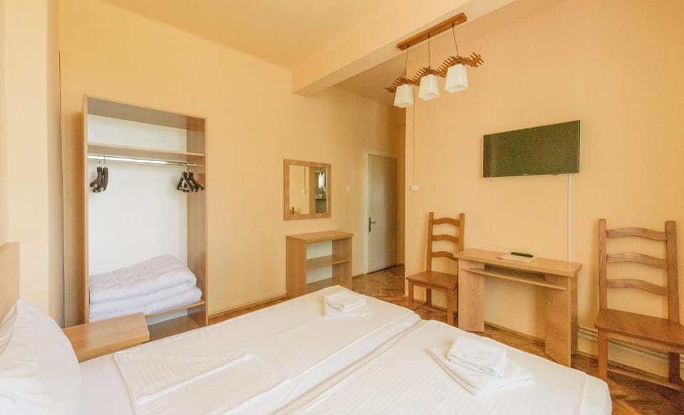 Pensiunea Tranzit Bed and Breakfast in Hungary