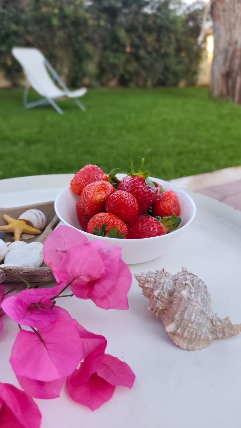 Playa Vacation House Villa in Sicily