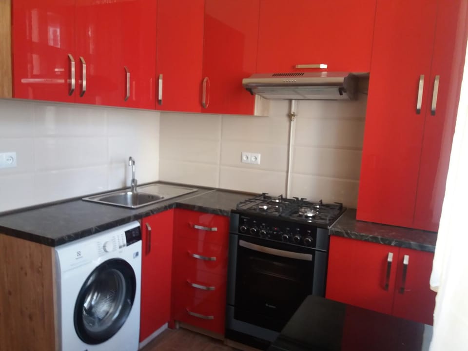 Kitchen or kitchenette, pet friendly, stove, washing machine