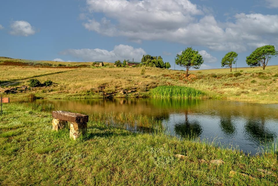 Day, Natural landscape, Fishing, Garden, Lake view